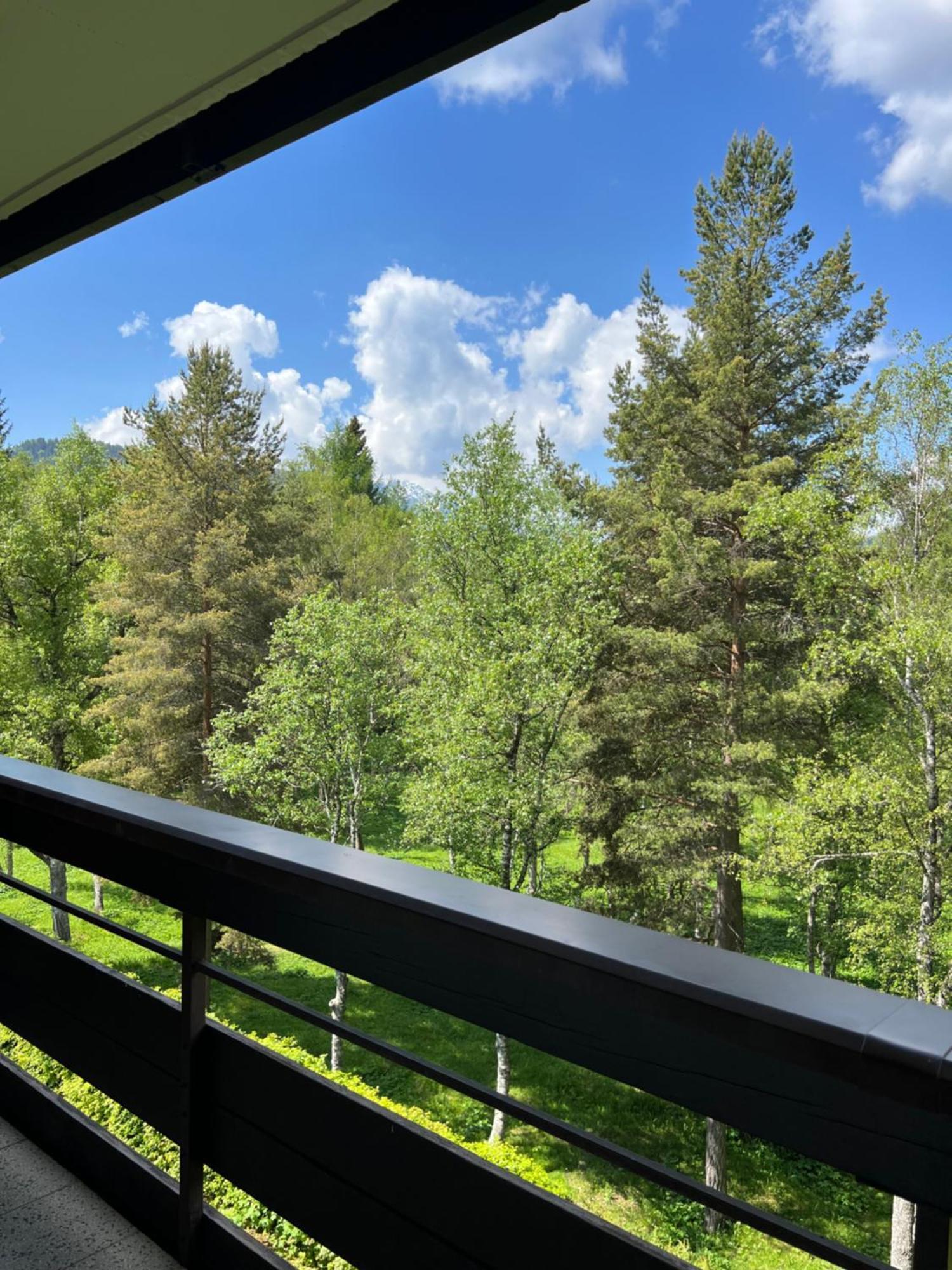 Appartementhaus Birkenwald Seefeld in Tirol Ngoại thất bức ảnh