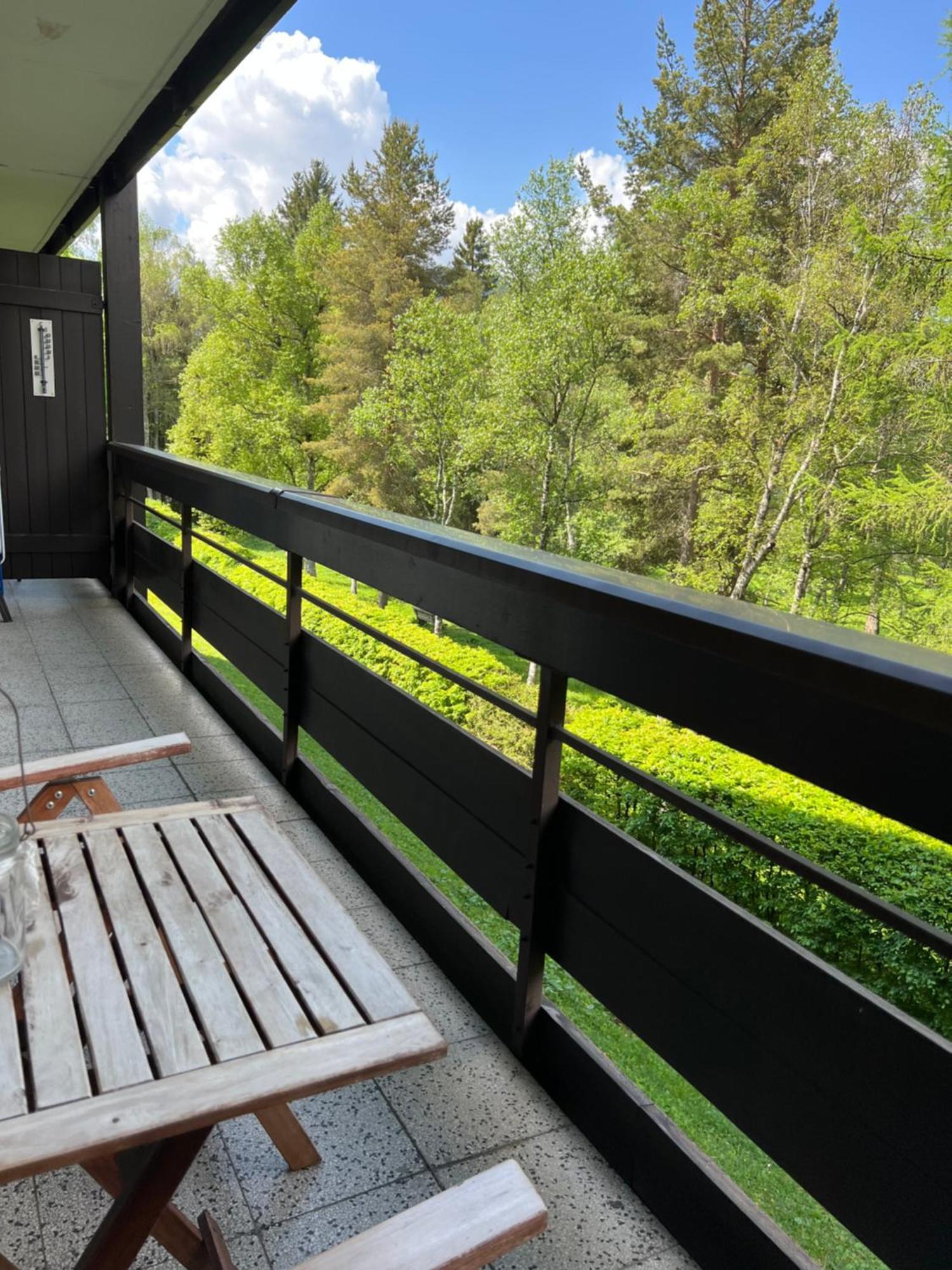 Appartementhaus Birkenwald Seefeld in Tirol Ngoại thất bức ảnh